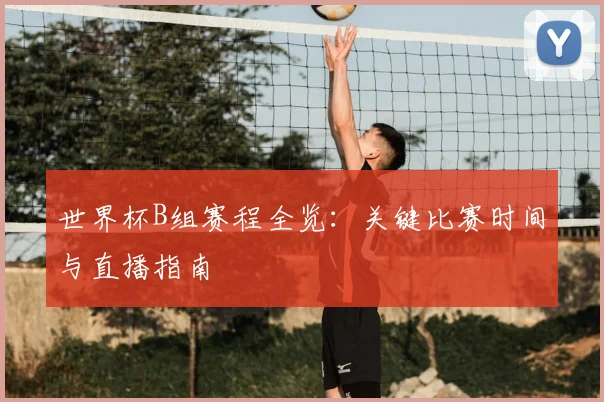 世界杯B组赛程全览:关键比赛时间与直播指南