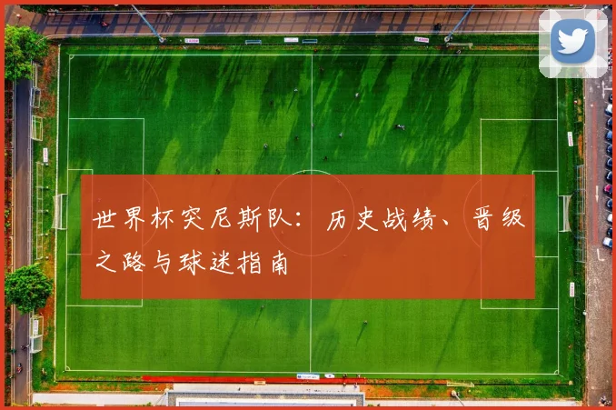 世界杯突尼斯队：历史战绩、晋级之路与球迷指南